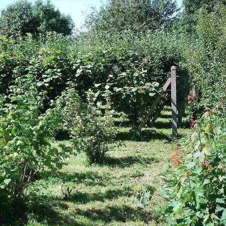 Le Clos Des Tilleuls La Vendelée Kültér fotó
