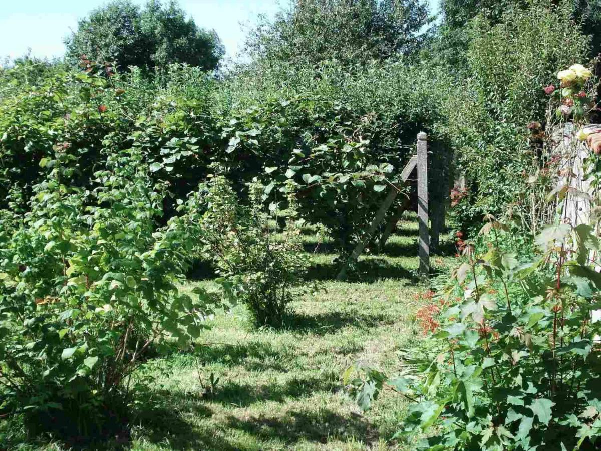 Le Clos Des Tilleuls La Vendelée Kültér fotó