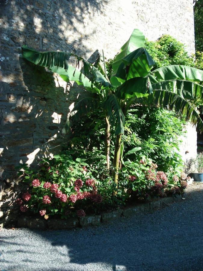 Le Clos Des Tilleuls La Vendelée Kültér fotó